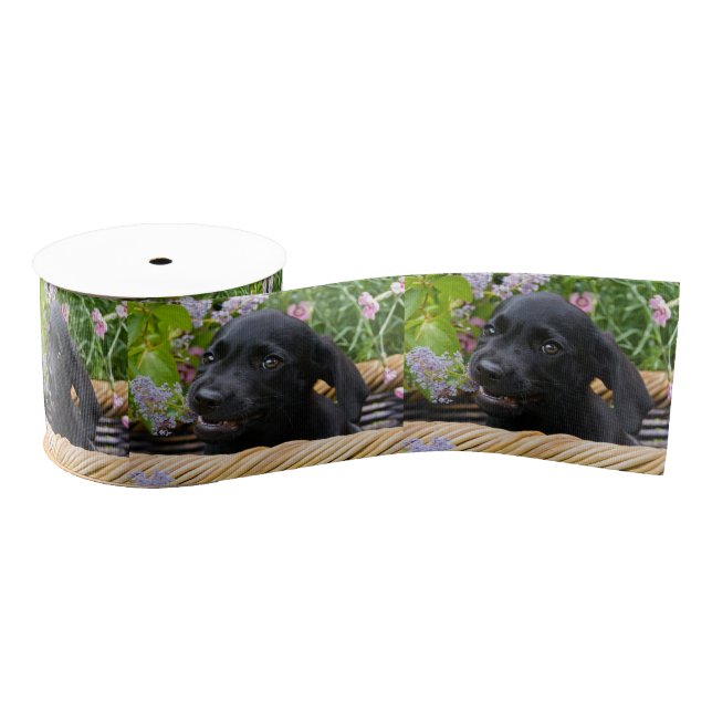 Cute Black Labrador Retriever Dog Puppy Pet Photo Grosgrain Ribbon (Spool)