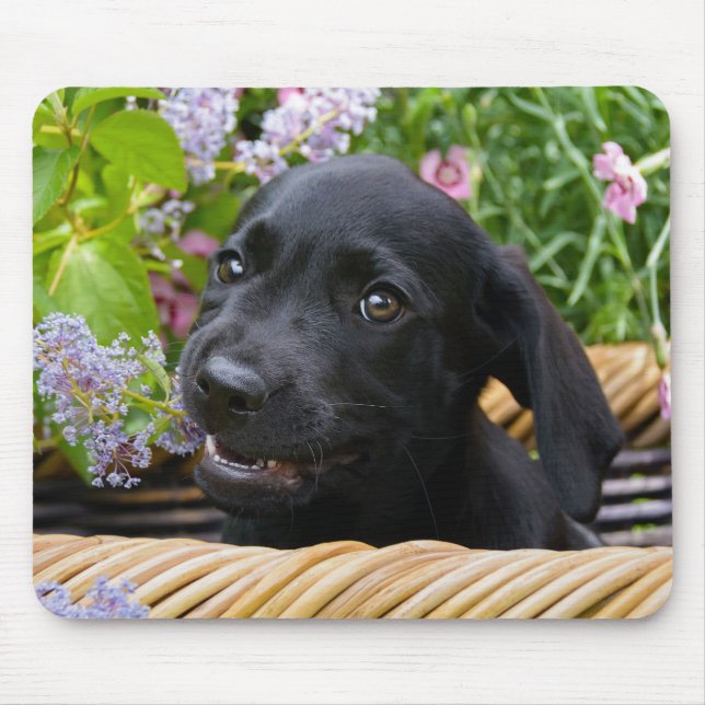 Cute Black Labrador Retriever Dog Puppy Pet Photo Mouse Mat (Front)