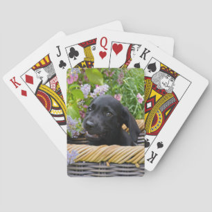 Cute Black Labrador Retriever Dog Puppy Pet Photo Playing Cards