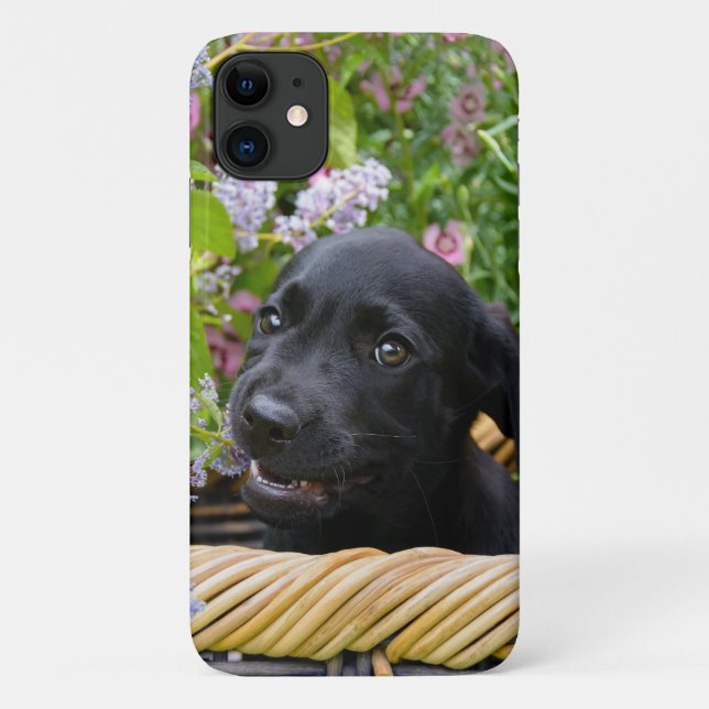 Cute Black Labrador Retriever Dog Puppy Photo * Case-Mate iPhone Case (Back)