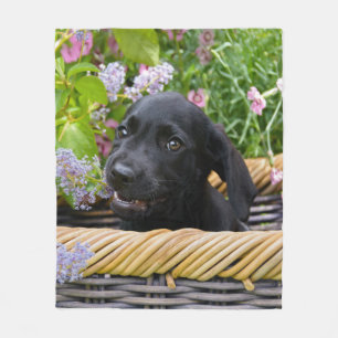 Cute Black Labrador Retriever Dog Puppy Photo on Fleece Blanket