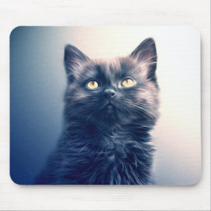 Cute Black Long Hair Kitten Mouse Mat