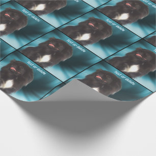 Cute Black Pekingese Dog Personalised Wrapping Paper