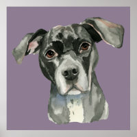 Cute Black Pit Bull Dog Watercolor Portrait
