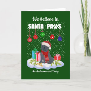Cute Black Pug Believe in Santa Paws Christmas Holiday Card
