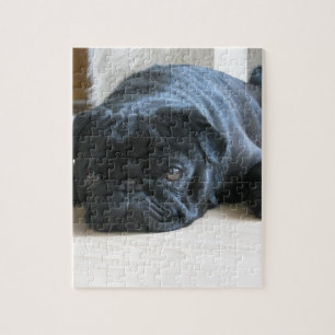 Cute Black Pug Sleeping Jigsaw Puzzle