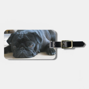 Cute Black Pug Sleeping Luggage Tag