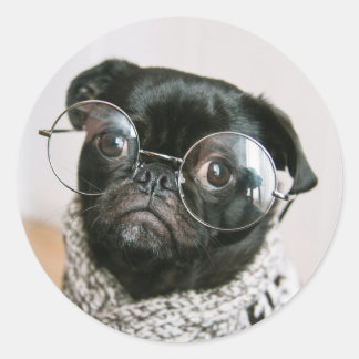 Cute Black Pug with Glasses Dog Photo Classic Round Sticker