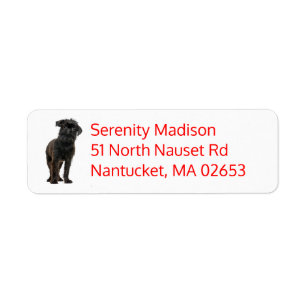 Cute Black Puppy Dog Lover Brussels Griffon Label