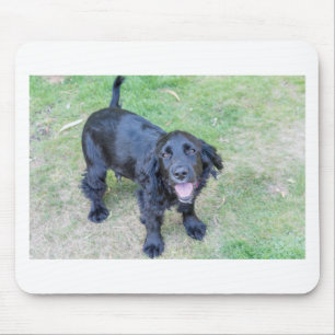 Cute Black Puppy Mouse Mat