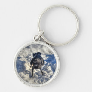 Cute Black Raven in the Snow Photo Key Ring