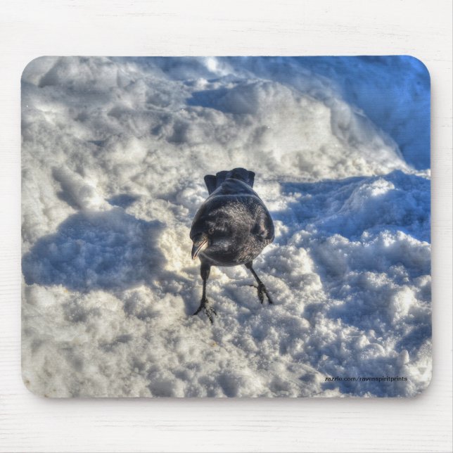 Cute Black Raven in the Snow Photo Mouse Mat (Front)
