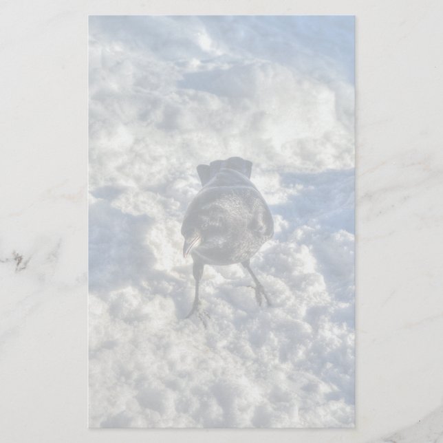 Cute Black Raven in the Snow Photo Stationery (Front)