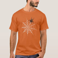 Cute Black Spider & White Spider Web.