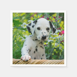 Cute black spotted Dalmatian Baby Dog Puppy Photo Napkin