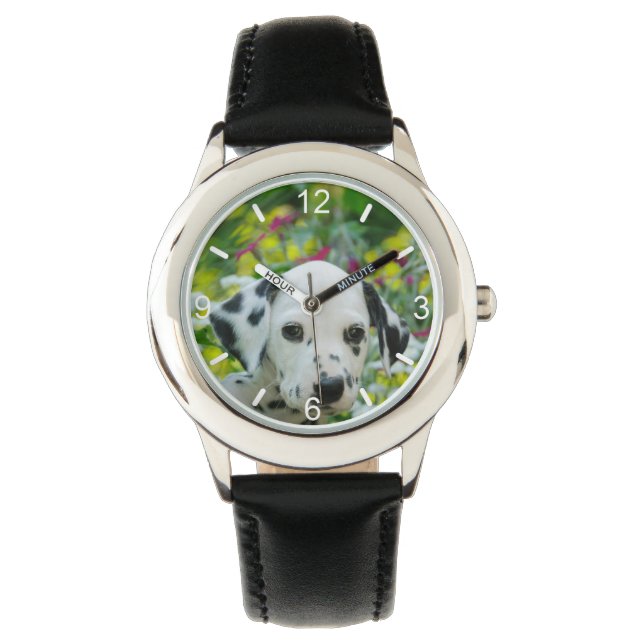 Cute black spotted Dalmatian Dog Puppy  dial-plate Watch (Front)