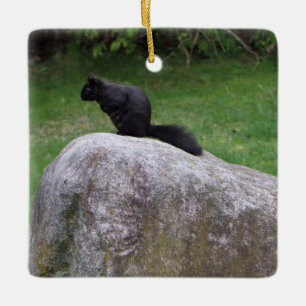 Cute Black Squirrel on a Rock Nature Squirrels     Ceramic Ornament
