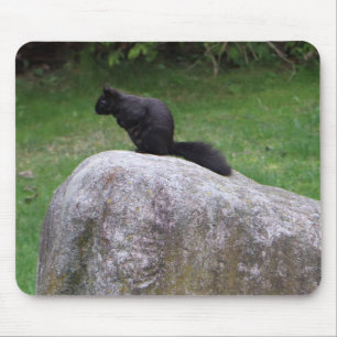 Cute Black Squirrel on a Rock Nature Squirrels     Mouse Mat