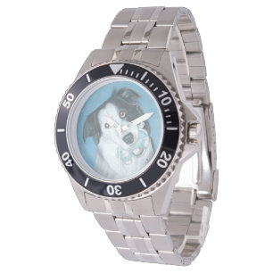 cute black & white border collie with teddy watch