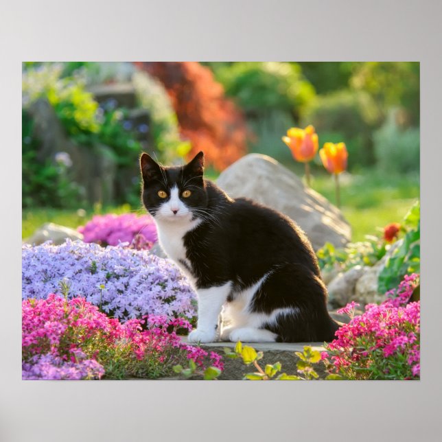 Cute Black White Cat in a Colourful Flowery Garden Poster (Front)