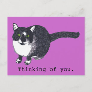 Cute Black White Cat in Pointillism Postcards