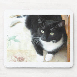 Cute black & white cat mouse mat