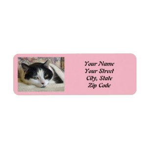 Cute Black White Cat Photo Pink 
