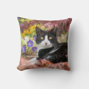 Cute Black-White Cat Resting under a Maple Tree -  Cushion