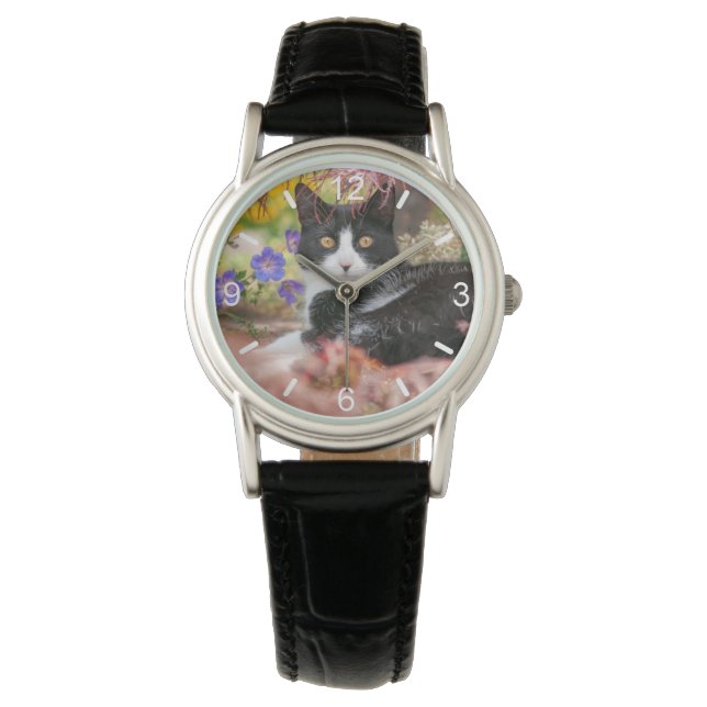 Cute Black-White Cat Resting under a Maple Tree -  Watch (Front)