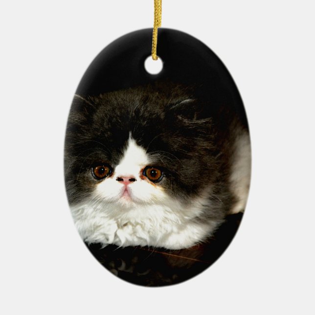 Cute black white kitten cat ceramic tree decoration (Front)