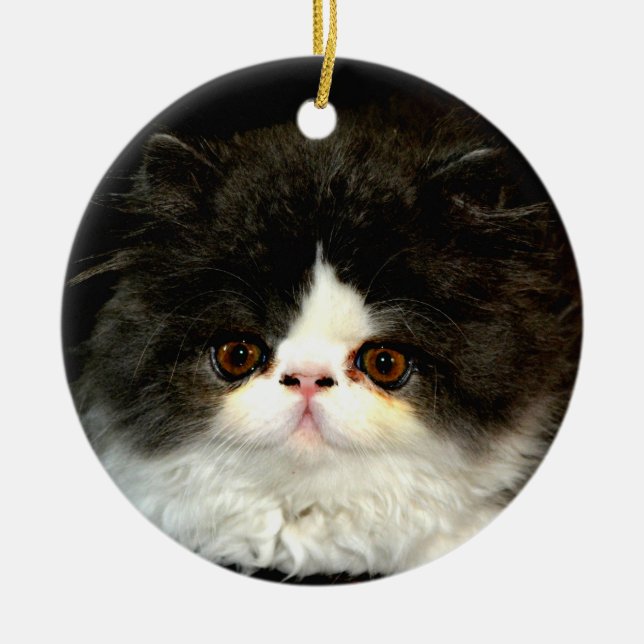 Cute black white kitten cat ceramic tree decoration (Front)