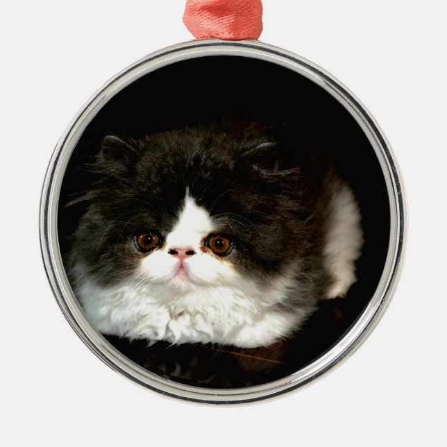 Cute black white kitten cat metal tree decoration (Front)