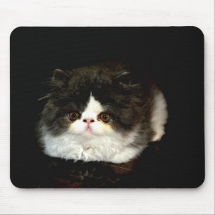 Cute black white kitten cat mouse mat
