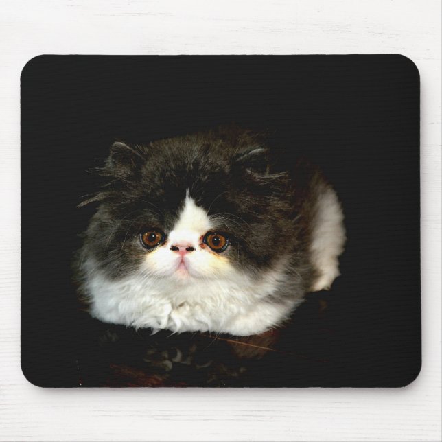Cute black white kitten cat mouse mat (Front)