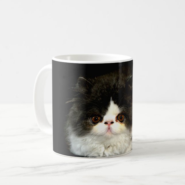 Cute black white kitten cat ragdoll photo coffee mug (Front Left)