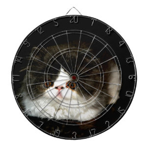 Cute black white kitten cat ragdoll photo dartboard