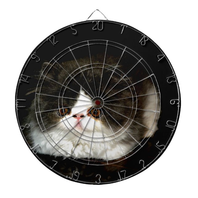 Cute black white kitten cat ragdoll photo dartboard (Front)