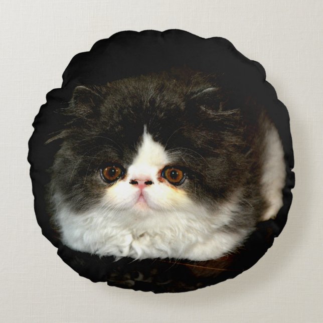 Cute black white kitten cat ragdoll photo round cushion (Front)
