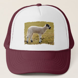 Cute Black White Lamb Bleating Baby Sheep Trucker Hat