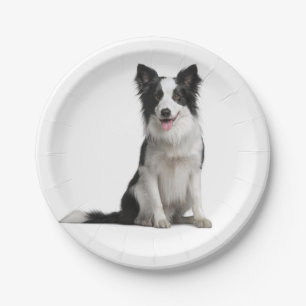 Cute Black White Puppy Dog Border Collie Party Paper Plate