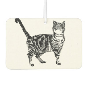 Cute Black White Tabby Cat Car Air Freshener