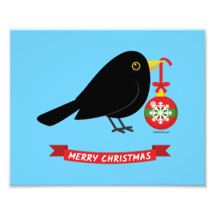 Cute Blackbird With A Christmas Ball Photo Print