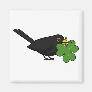 Cute Blackbird with Shamrock Clover Cartoon Magnet