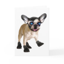 Cute Blank-Inside Card