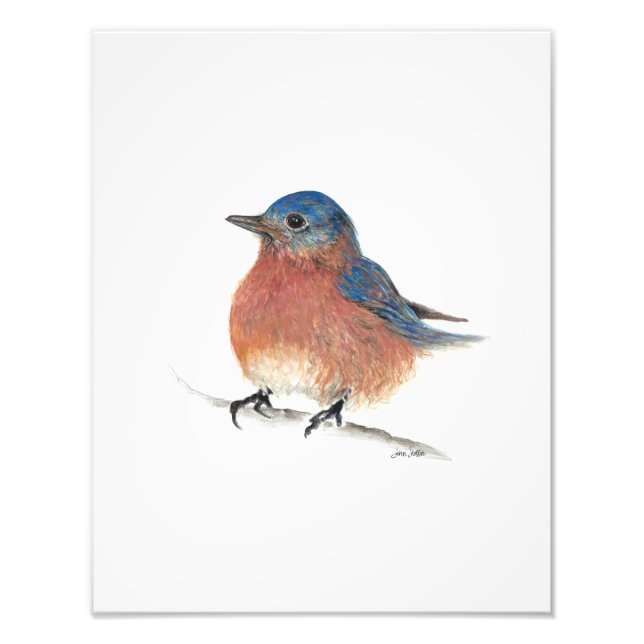 Cute Blue Bird Watercolor Coloured Pencil Art Photo Print (Front)