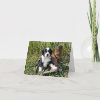 Cute blue eyed Aussie puppy with cowboy boots Note Card