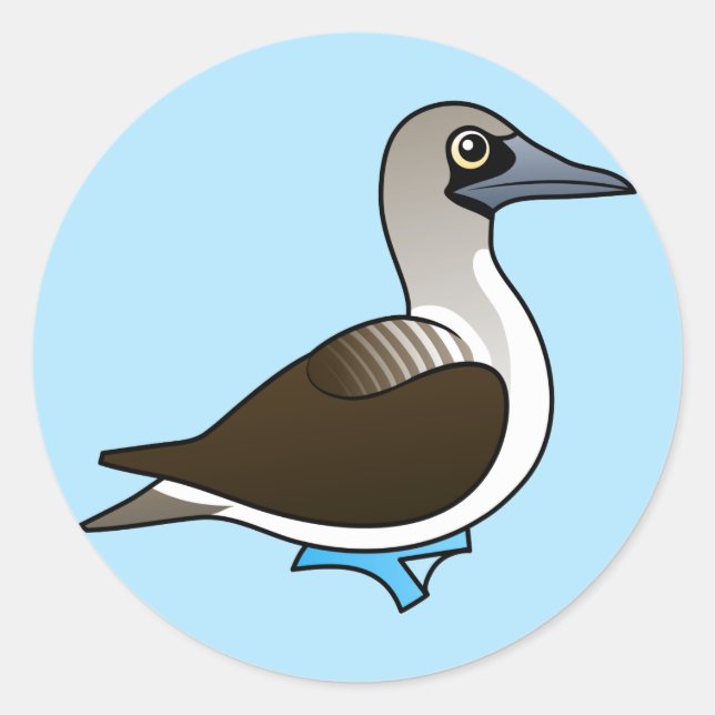 Cute Blue-footed Booby Classic Round Sticker (Front)
