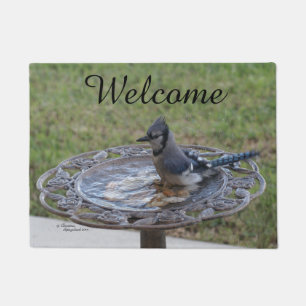 Cute Blue Jay Bird Spiegeland Welcome Doormat