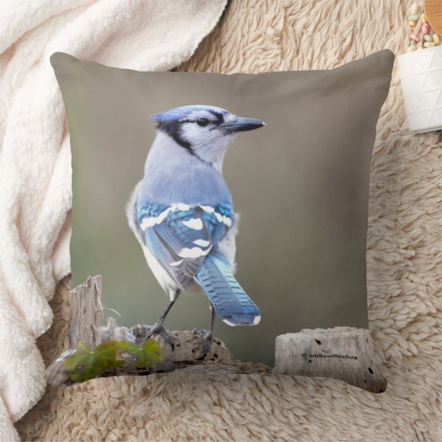 Cute Blue Jay Songbird on Treestump Cushion (Blanket)
