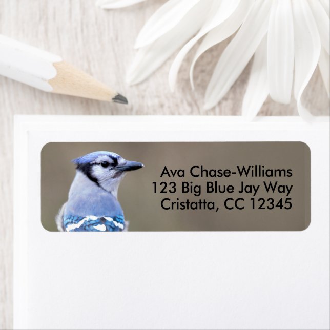 Cute Blue Jay Songbird on Treestump Glass Coaster (Insitu)